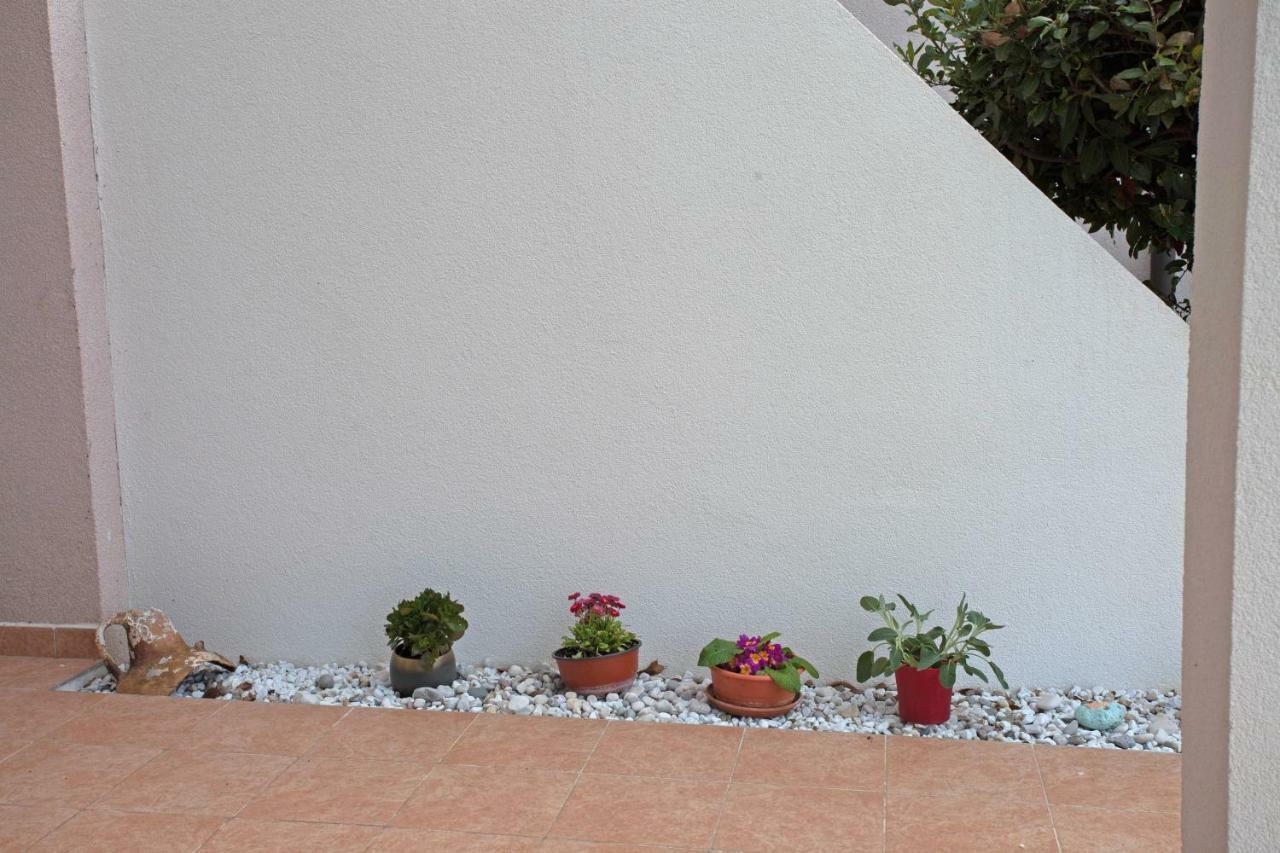 Apartment Studio Sole Rovinj Exterior photo